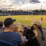 Fanáticos con perros disfrutan un juego de béisbol al atardecer en Tampa