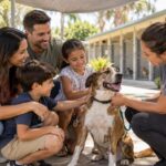 Refugio de Hillsborough pide adopciones y hogares temporales ante aumento de perros